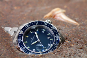 Diver Watch